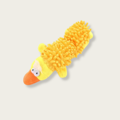 Yellow Duck