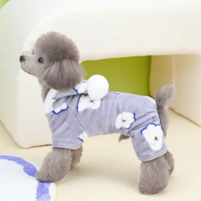 Gray Dog
