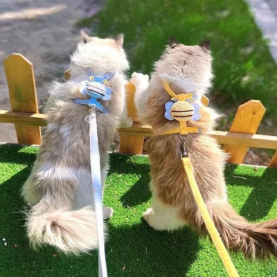 Charm Cat Harness