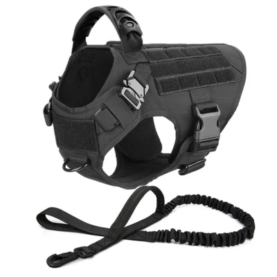 Black harness leash