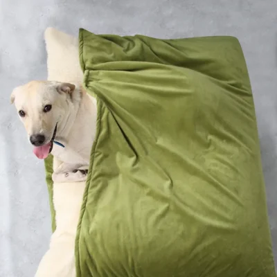 dog pillow