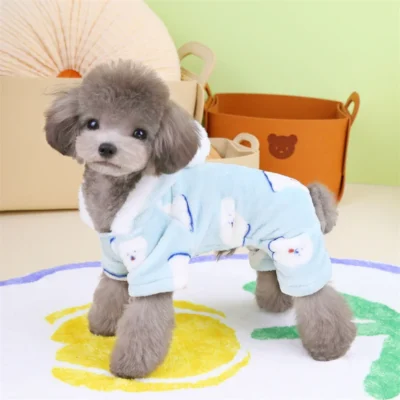 Blue Dog