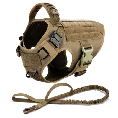 Brown harness leash