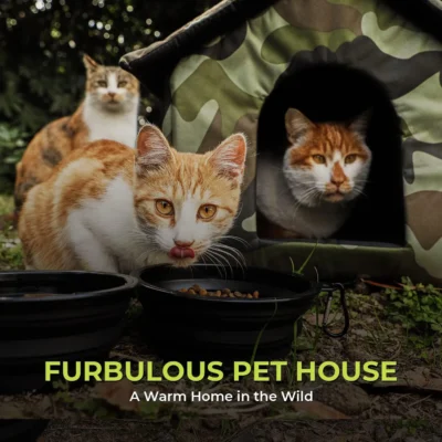 outdoor cat house