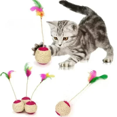 Scratching Ball Interactive Cat Toy