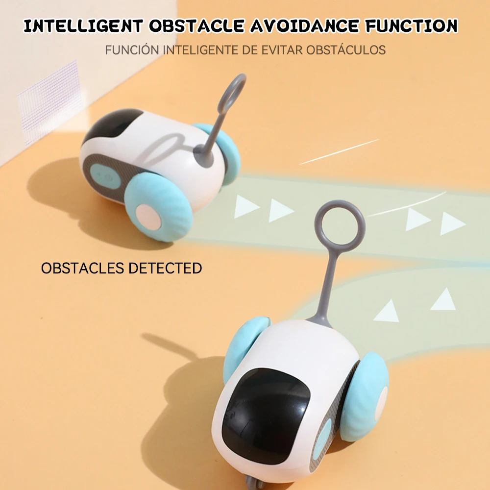 Car Interactive Cat Toy