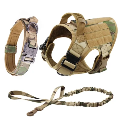 Camouflage set