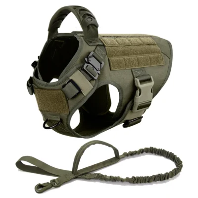 Green harness leash