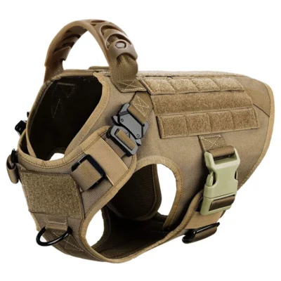 Brown harness