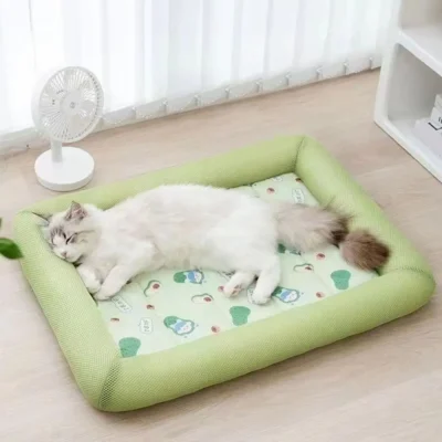 cat bed