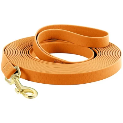 Training Dog Leash