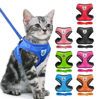 Vibrant Dog Harness