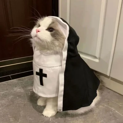 Halloween cat costume