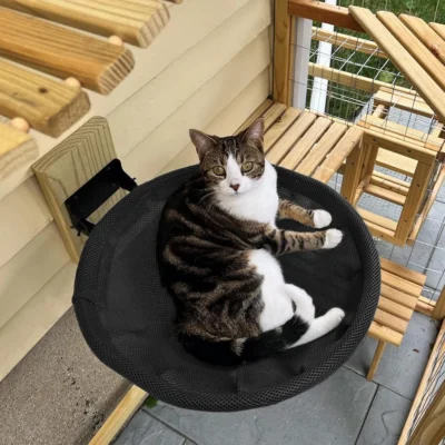 wall cat bed