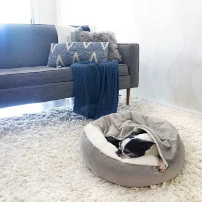 orthopedic dog bed