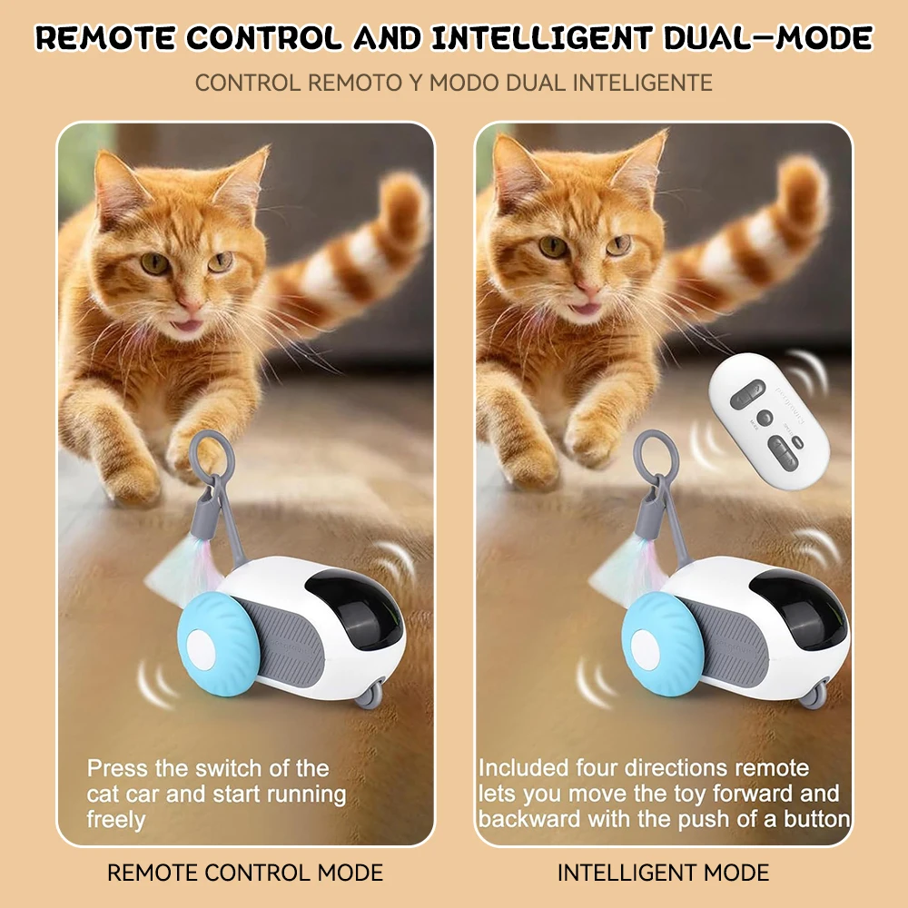 Car Interactive Cat Toy