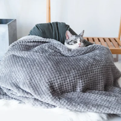plush dog blanket