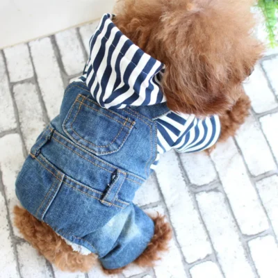 Cat Clothes