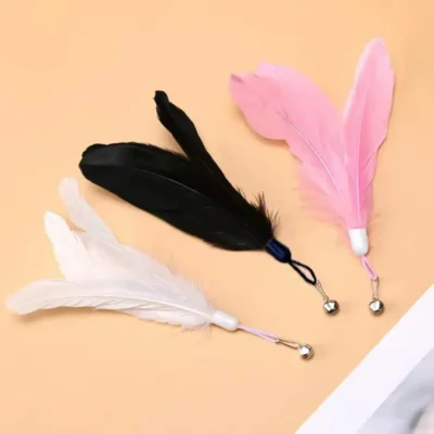 Feather Head