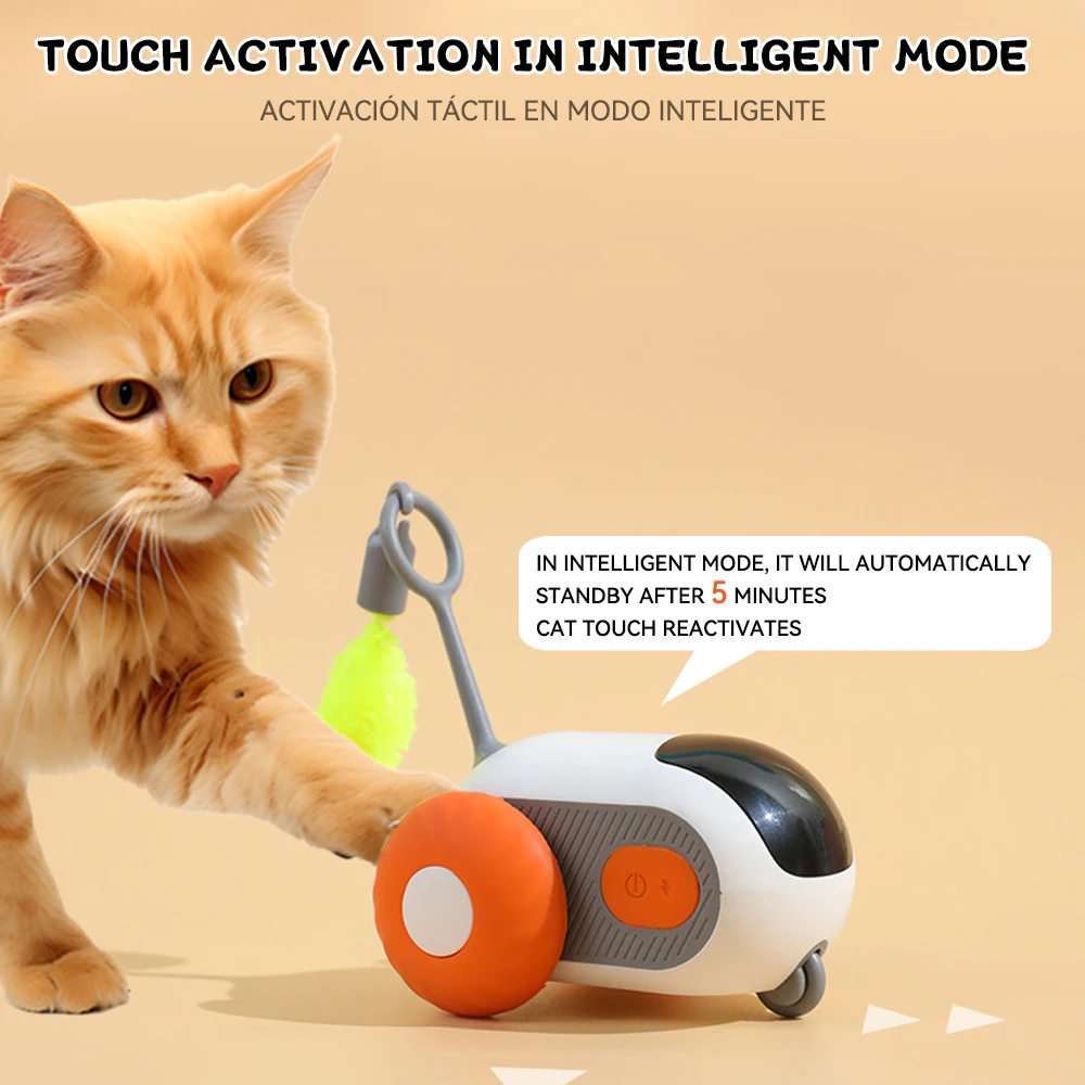 Car Interactive Cat Toy