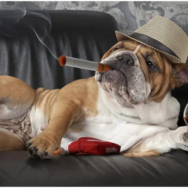 Cigarette Box Interactive Dog Toys