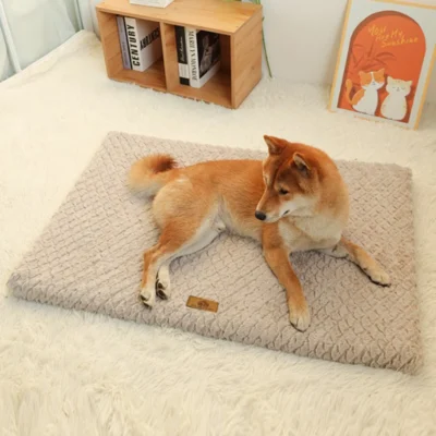 dog sofa bed