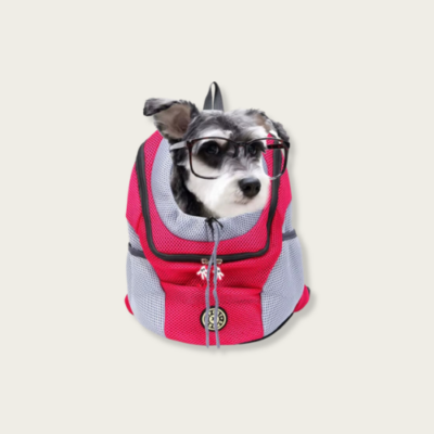 Mesh Backpack Cat Carrier