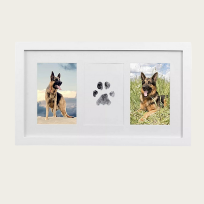 Pet Paw Print Ink Pad