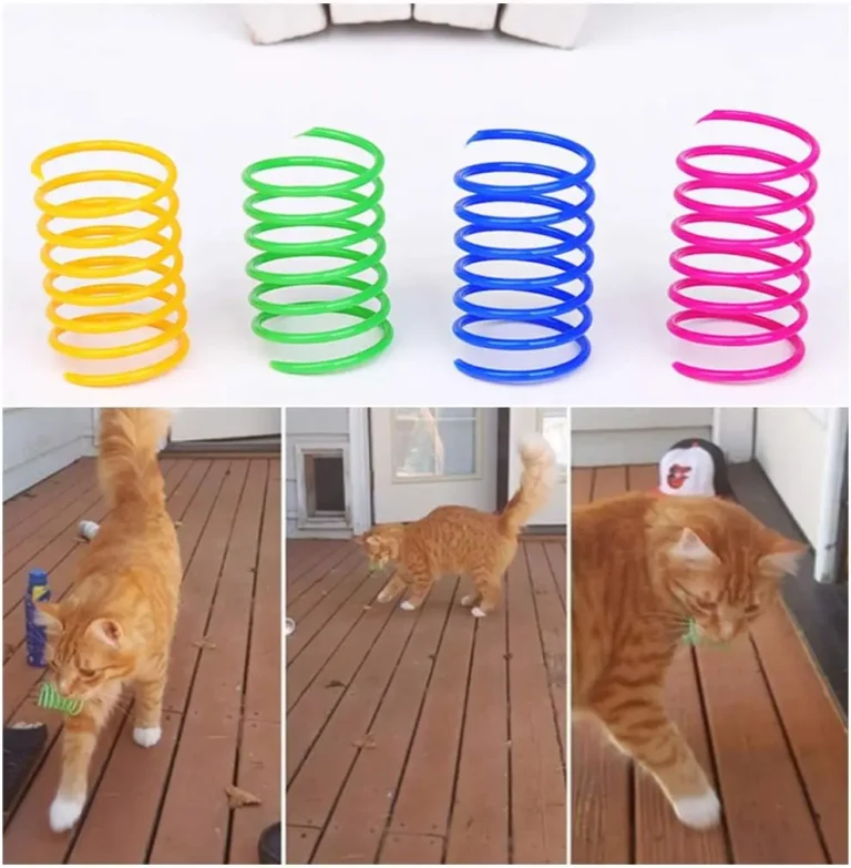 Spring Interactive Cat Toy