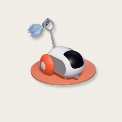 Car Interactive Cat Toy