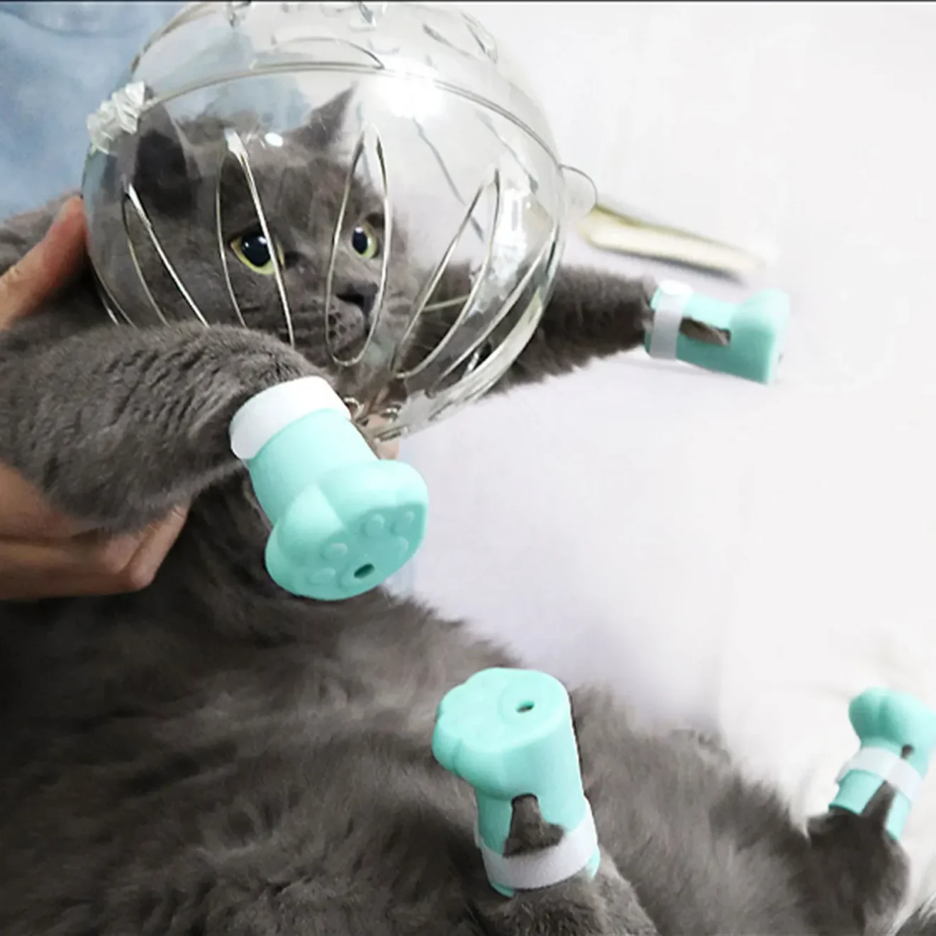 Cat Bite Protection Muzzle