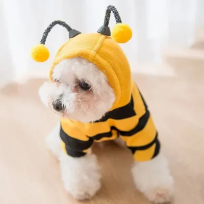 Buzzing Buddy Dog Clothes