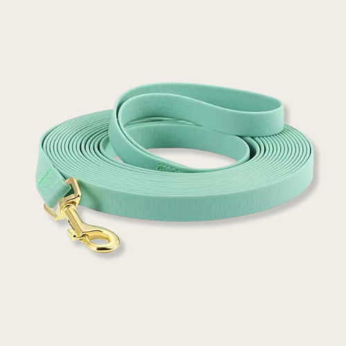 Training Dog Leash