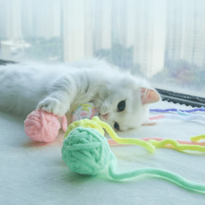 Bell Interactive Cat Toys