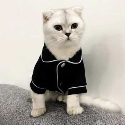 Pajama Dog Clothes